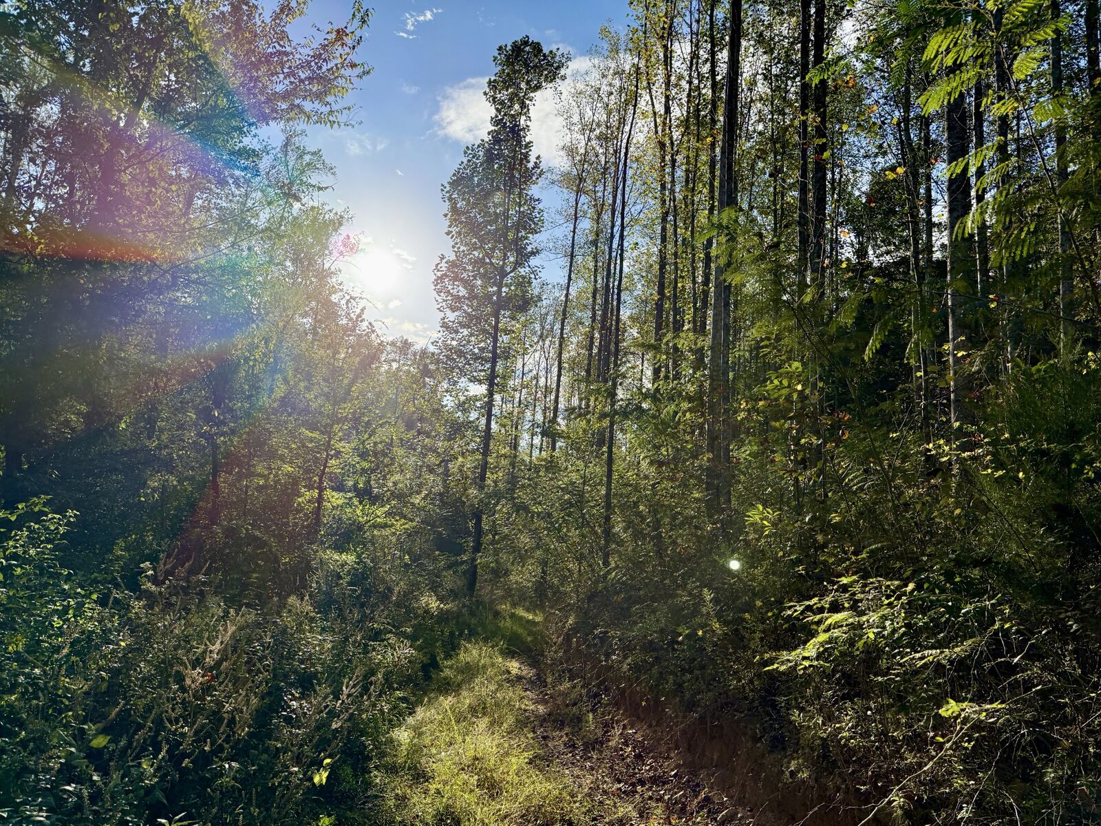 Property Photo:  806 Brandon Hollow Rd  TN 37352