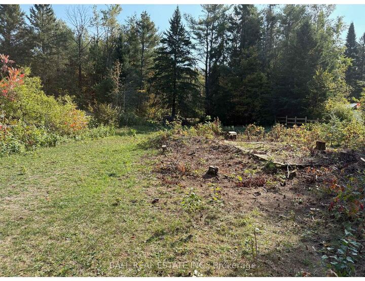 Property Photo:  0 The Avenue N/A  ON K0M 2A0 