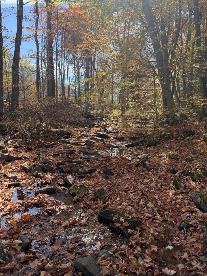 Property Photo: 000 Rand Hill Road NY 12910