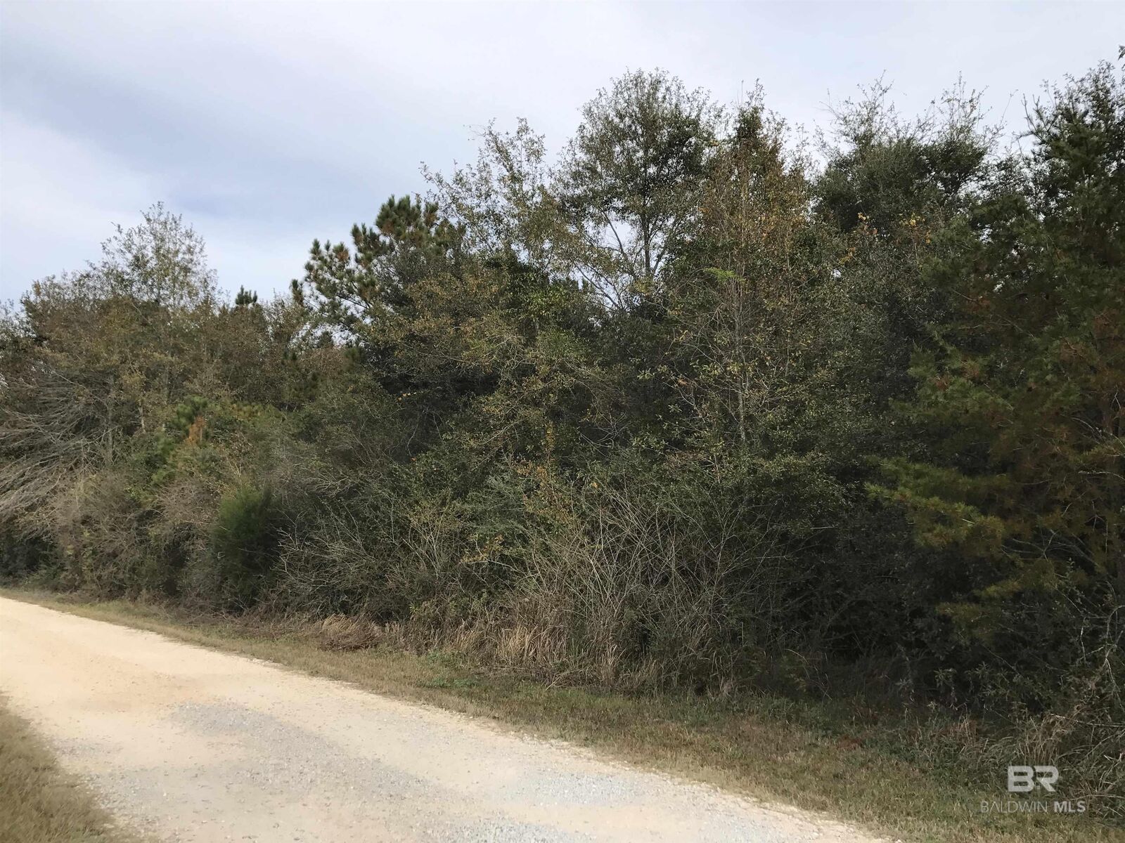 Property Photo: 24050 N River Road AL 36526