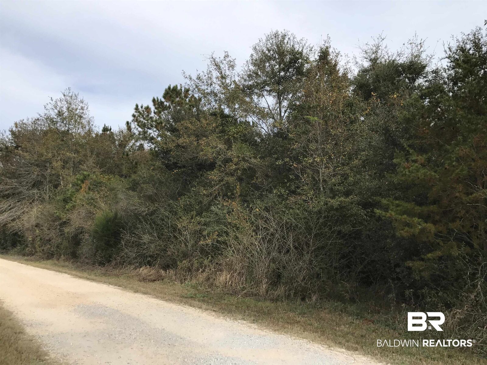 Property Photo: 24050 N River Road AL 36526