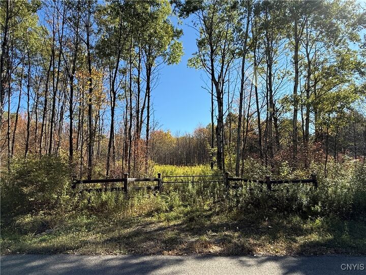 Property Photo: Shoemaker Road NY 14889
