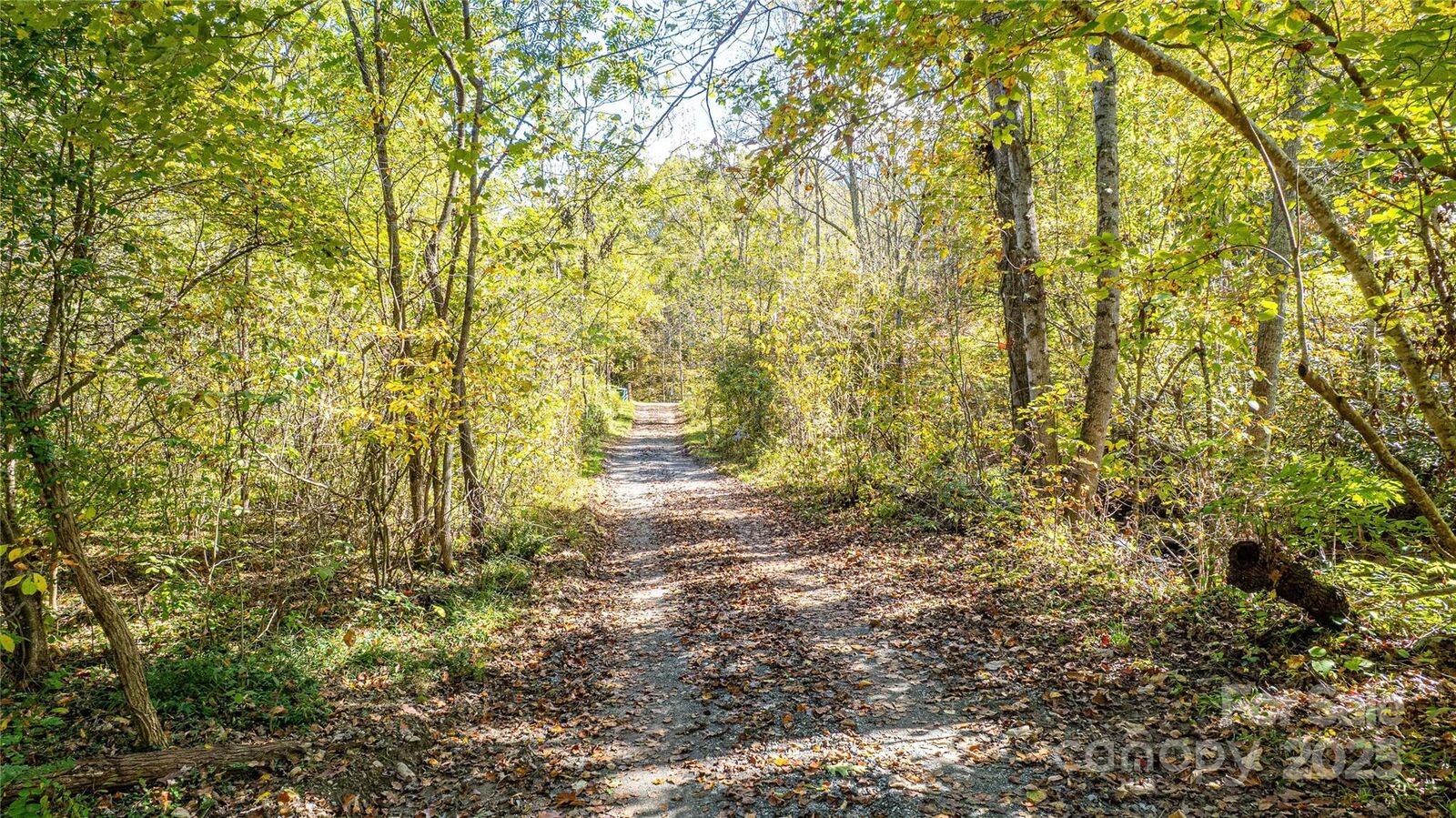 Property Photo: 10 Dodd Road NC 28709