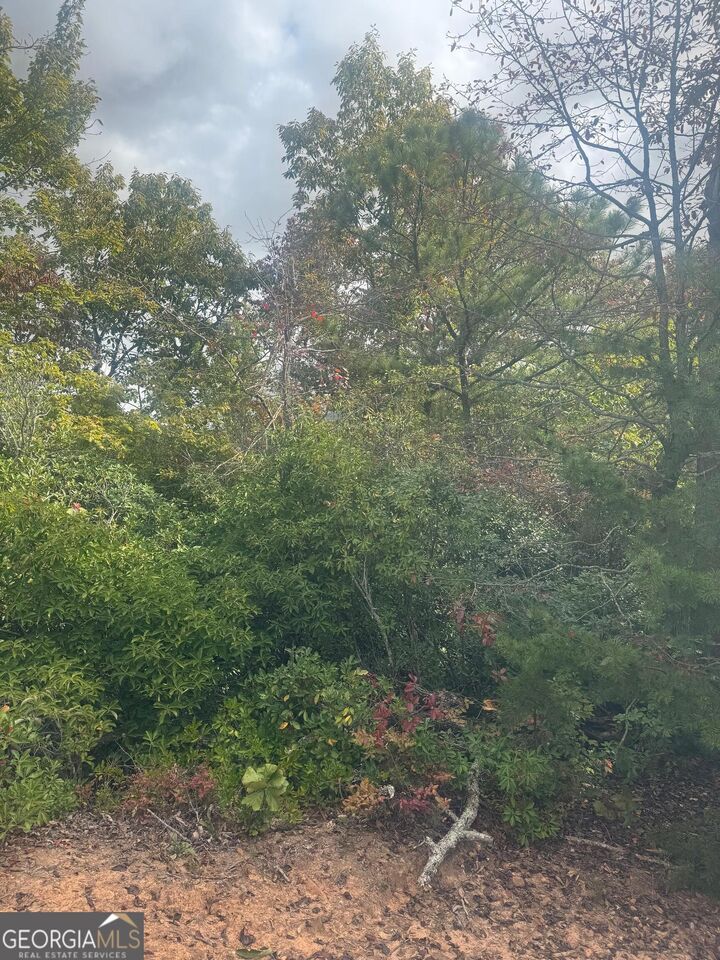 Property Photo: Lot 16 Brown Hawk Drive GA 30525