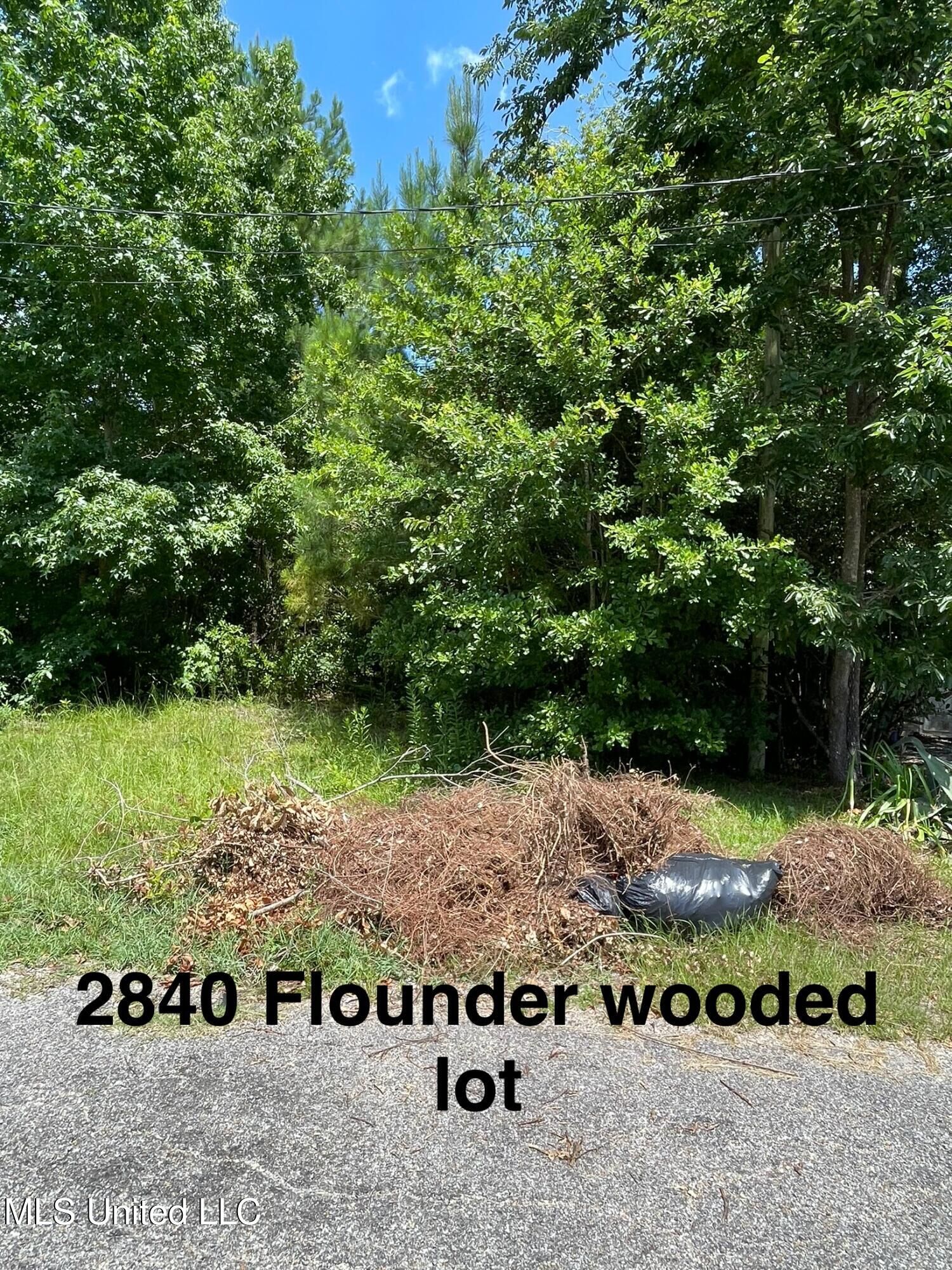 Property Photo: 2840 Flounder Circle MS 39553