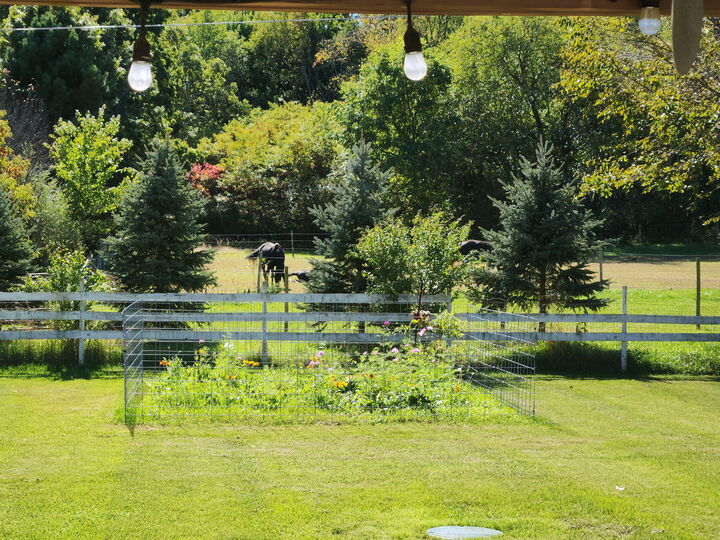 Property Photo: 35473 Margurite Lane MI 49079