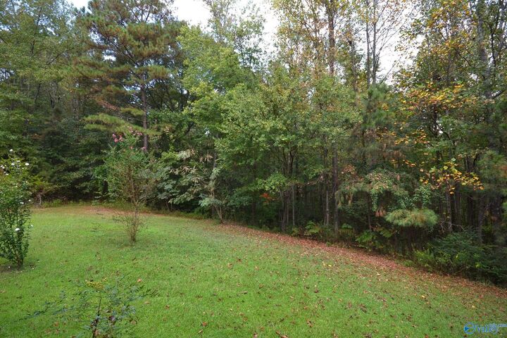 Property Photo: 1321 County Road 1352 AL 35179