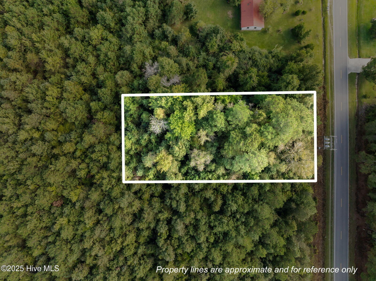 Property Photo:  Tbd Gurganus Road  NC 28454 