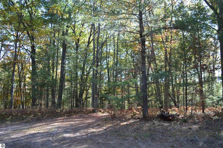 Property Photo: NE Rose Ridge Road MI 49646