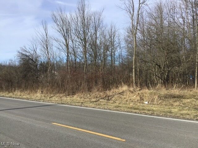 Property Photo:  State Road  OH 44481 