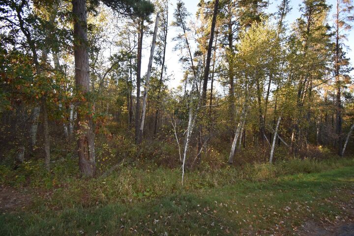 Property Photo: Tbd Belgian Drive MN 56472