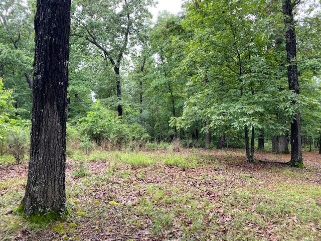 Property Photo:  Lot 5 Lakeview Drive  AR 72619 