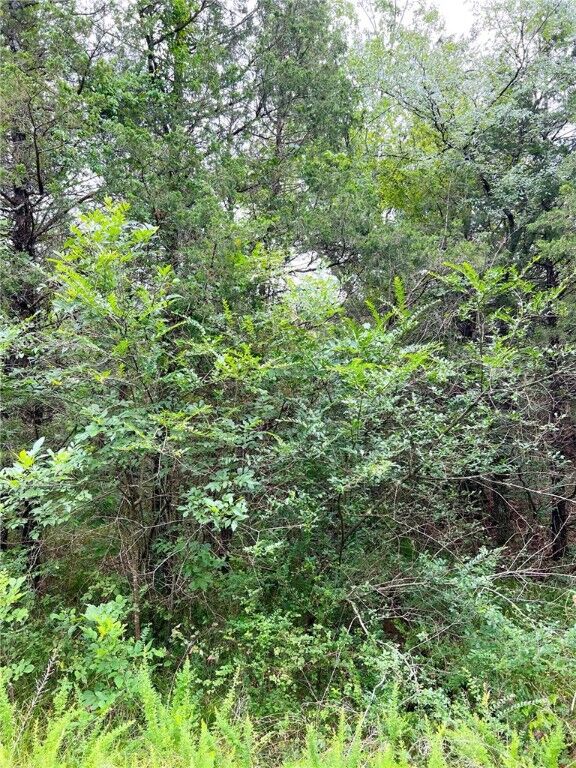 Property Photo:  Tbd Cedar Lane  AR 72644 