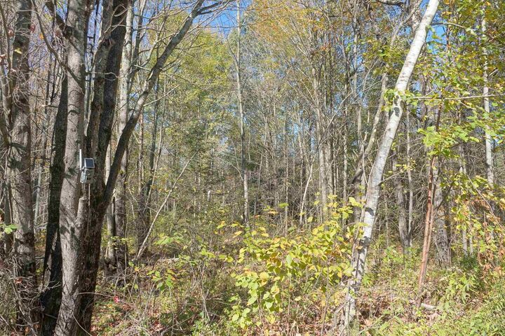 Property Photo: 000 Sharpshooters Drive WI 54451