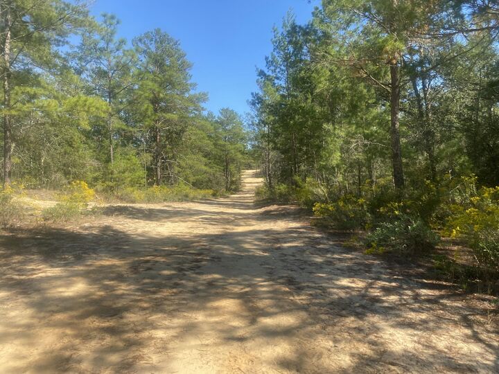 Property Photo: Tbd Camelot Avenue FL 32433