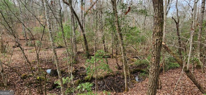 Property Photo:  Lot 18 Gray Fox Trail  GA 30512 