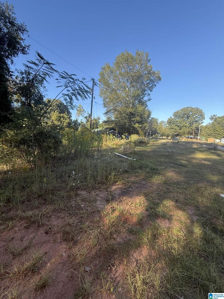 Property Photo: 118 Slaughter Street None AL 35072