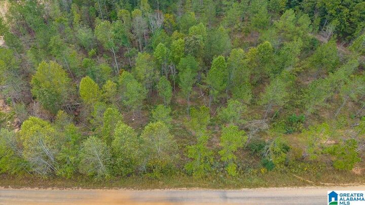 Property Photo:  0 County Road 689 0  AL 36273 