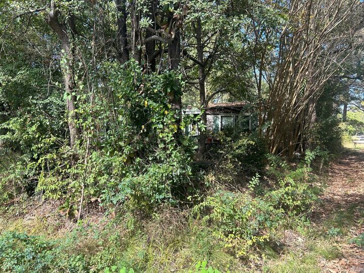 Property Photo: 623 E Spruce Street TX 75949