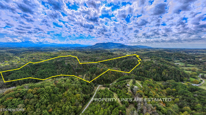 Property Photo: 2521 Audley Moore Rd TN 37876