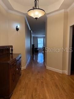 Property Photo: 1027 Orca Court FL 34691