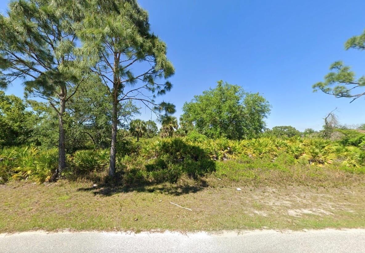 Property Photo:  12166 Ashley Avenue  FL 33981