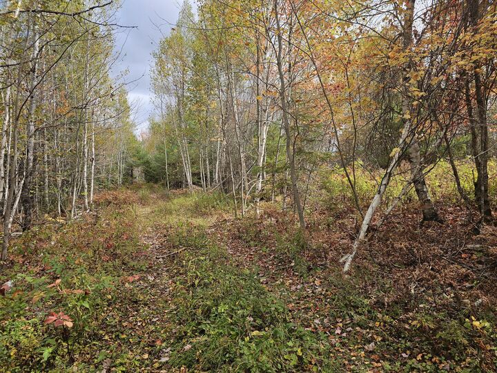 Property Photo: Map R09, Lot 12, Fox Run Drive ME 04605