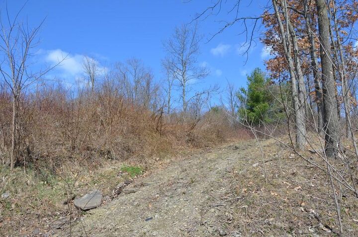 Property Photo: Lot 1A Hemlock Hills Rd PA 18848