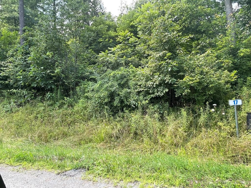 Property Photo: Lot 18A Hemlock Hills Rd PA 18848