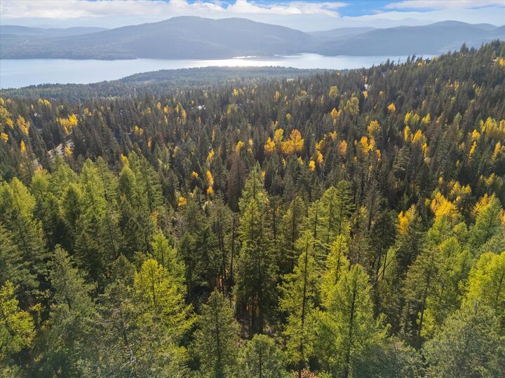 Property Photo:  201 Woodlandstar Circle  MT 59937 