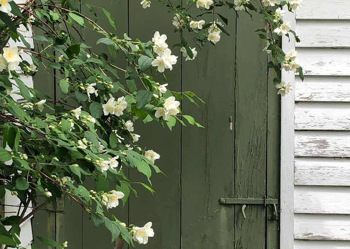 Property Photo:  1 Hop Kiln Road  NH 03304 