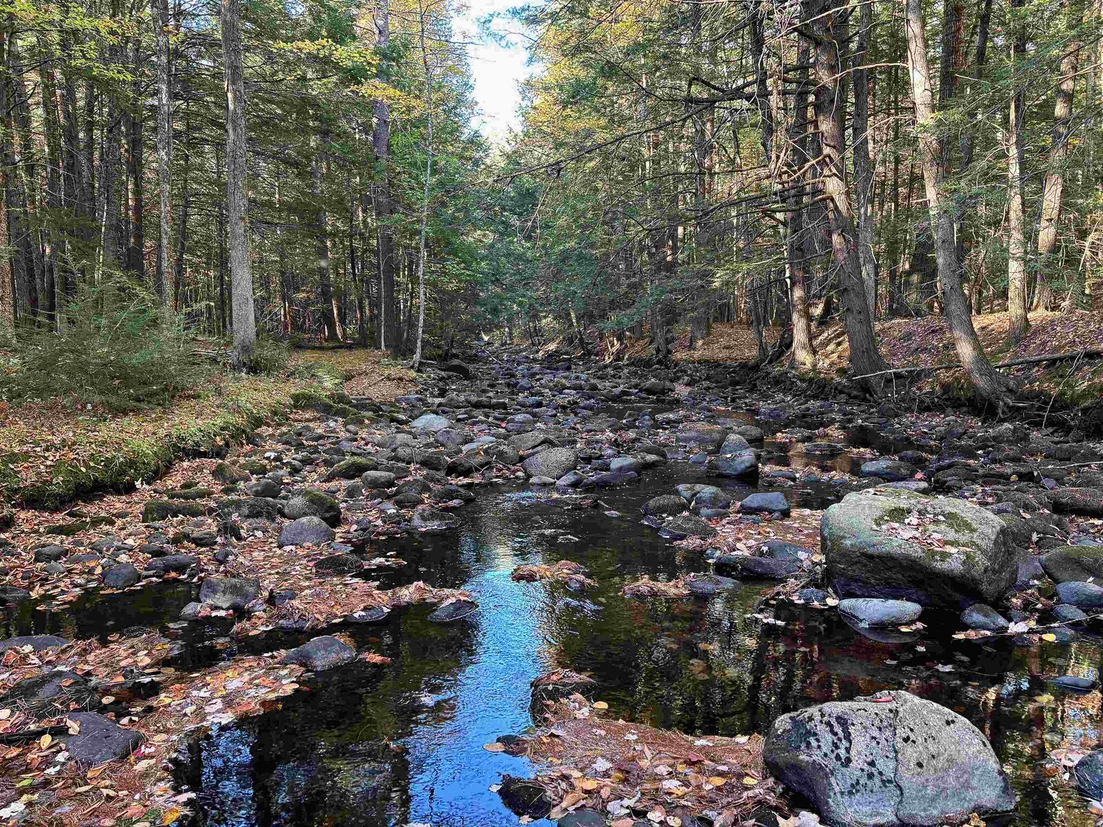 Property Photo:  000 North Road  NH 03278 