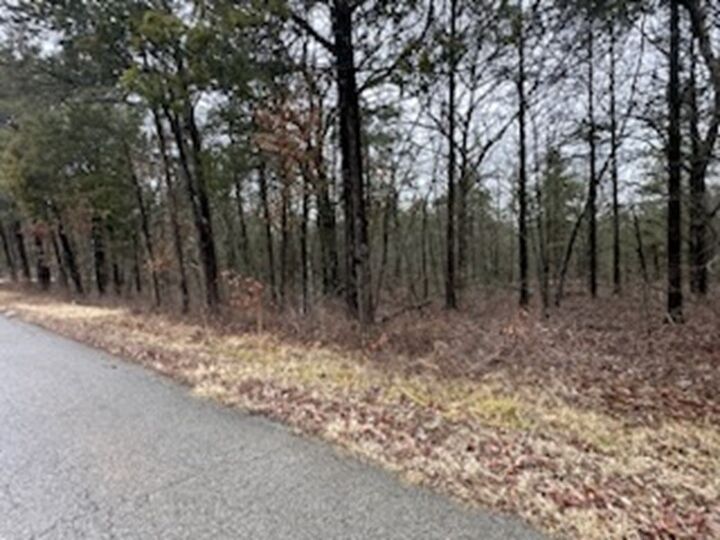Property Photo:  Hwy 62  AR 72634 