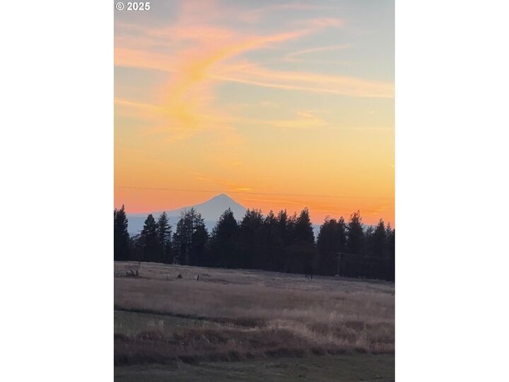 Property Photo:  Nka - Sara View Ln 2  WA 98620 