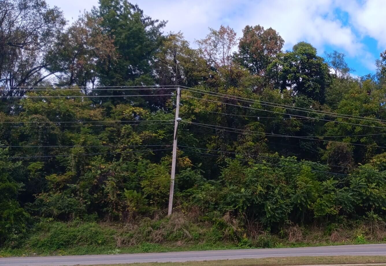 Property Photo:  0 Brandon Ave SW  VA 24015