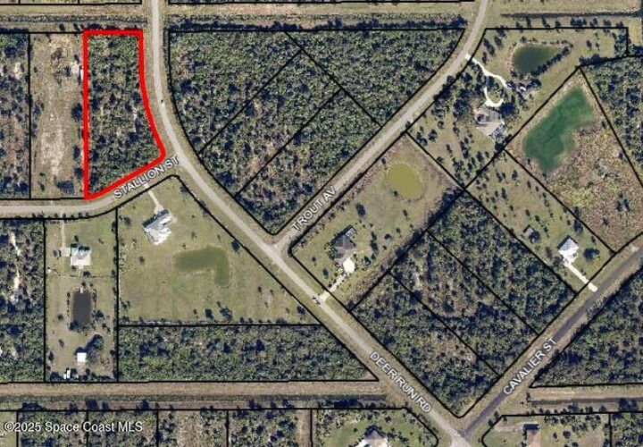 Corner Of Stallion St &Amp Deer Run Rd  Palm Bay FL 32909 photo