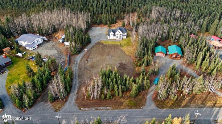 Property Photo: 35450 Betty Lou Drive AK 99672