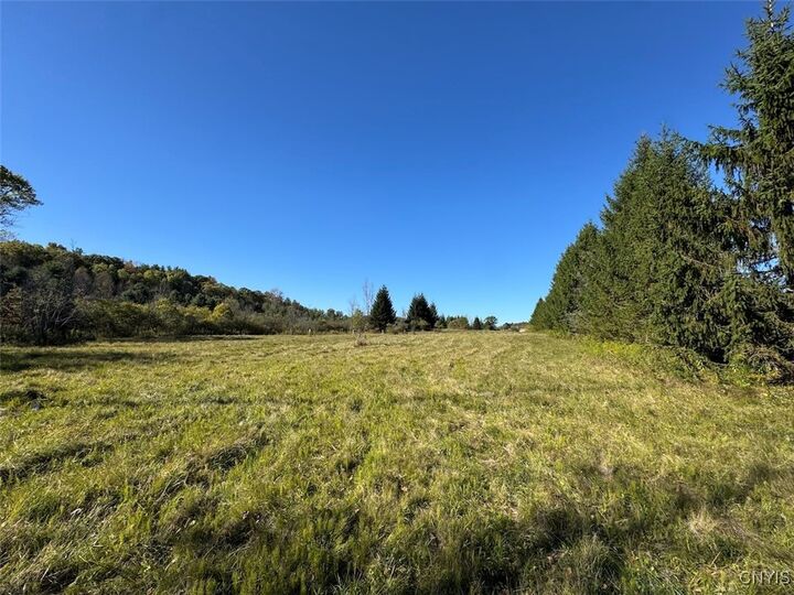 Property Photo:  County Road 96  NY 14840 