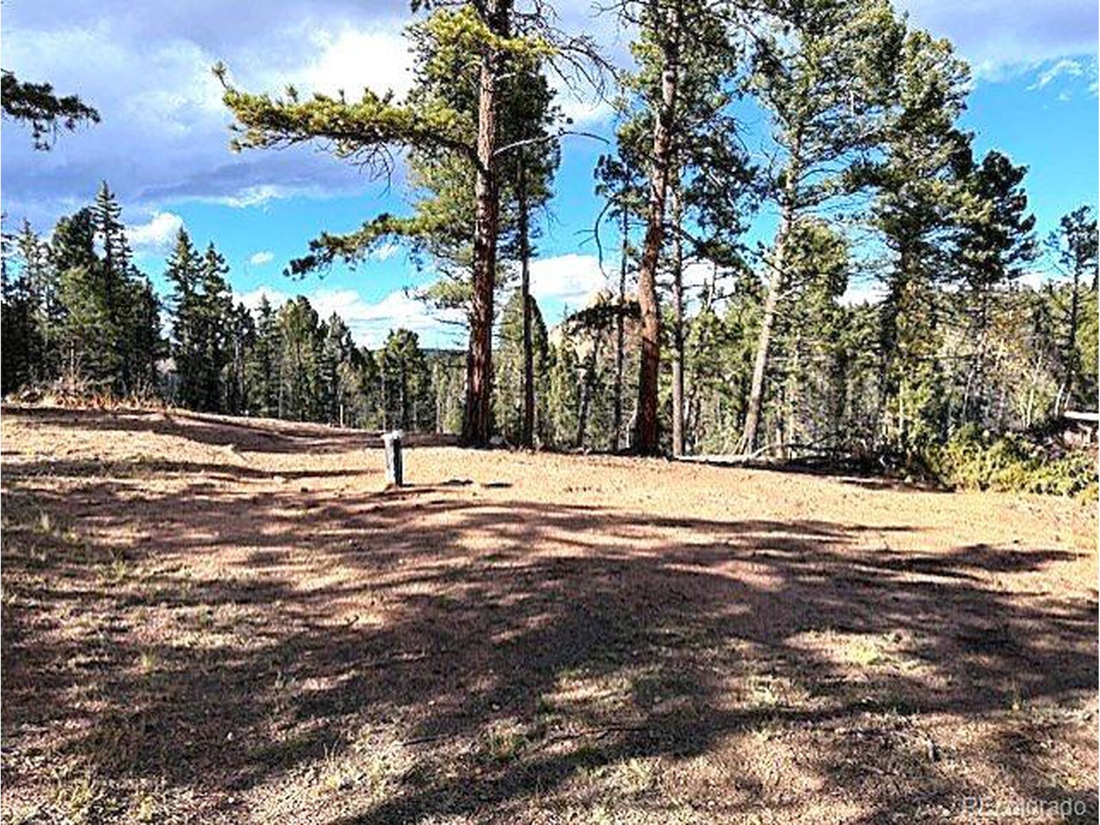 Property Photo:  195 Oxford Pl  CO 80816 