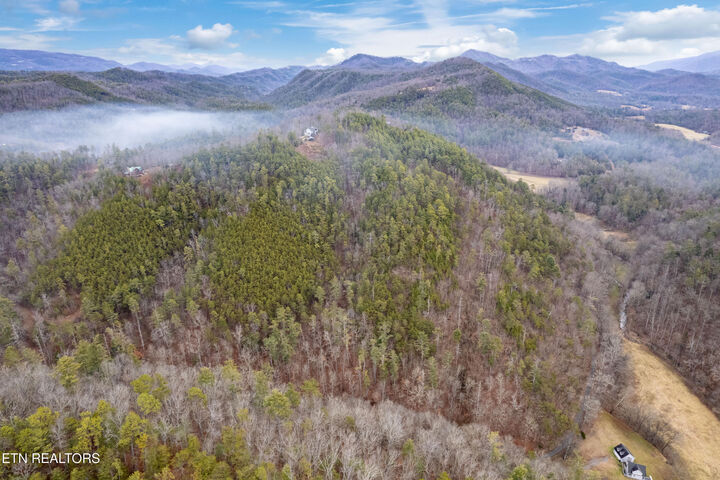 504 Twin Oak Mountain Lane  Townsend TN 37882 photo
