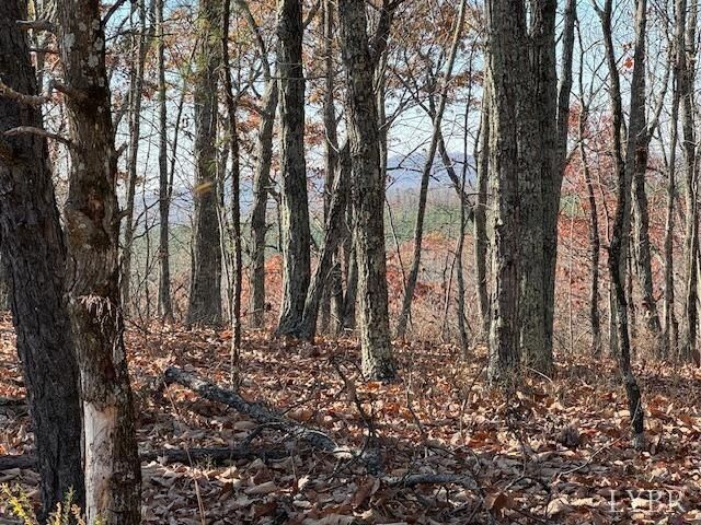 Property Photo:  0 Kingswood Lane  VA 24504