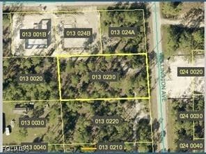 Property Photo:  2121 Wellington Avenue  FL 33920 