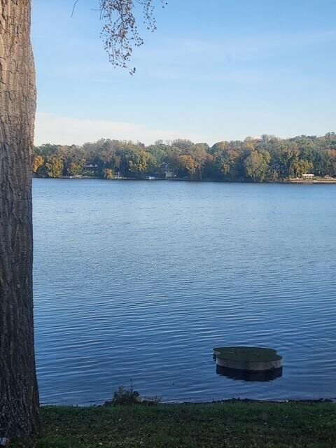 Property Photo: 333 Maple Island Road MN 55306