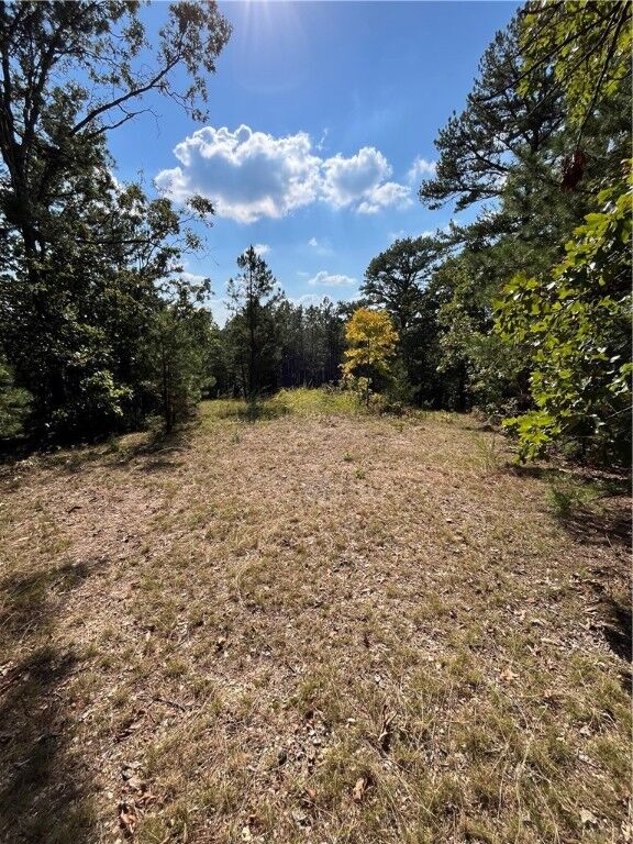 Tbd Cr 240  Eureka Springs AR 72631 photo