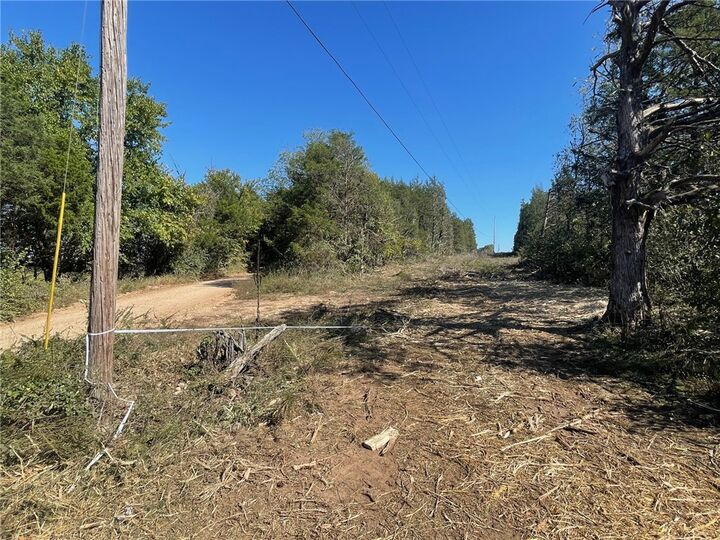 427 County Road 238  Berryville AR 72616 photo