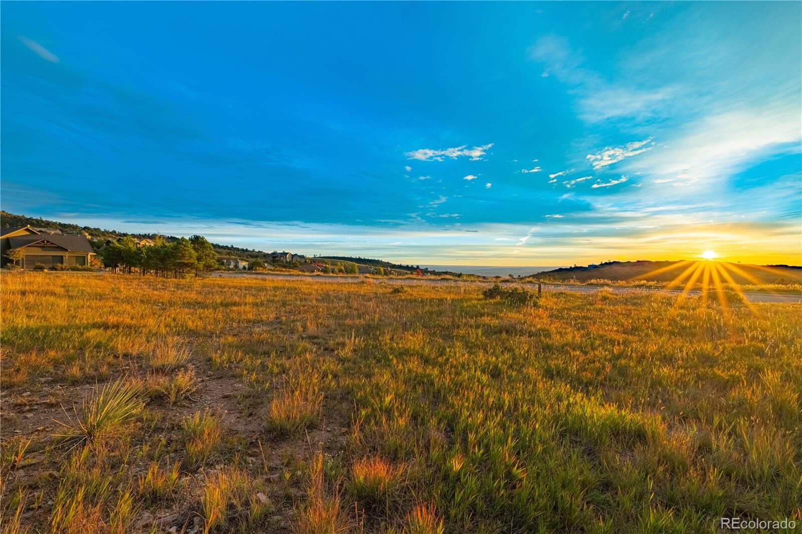 Property Photo: 3760 Twisted Oak Circle CO 80904