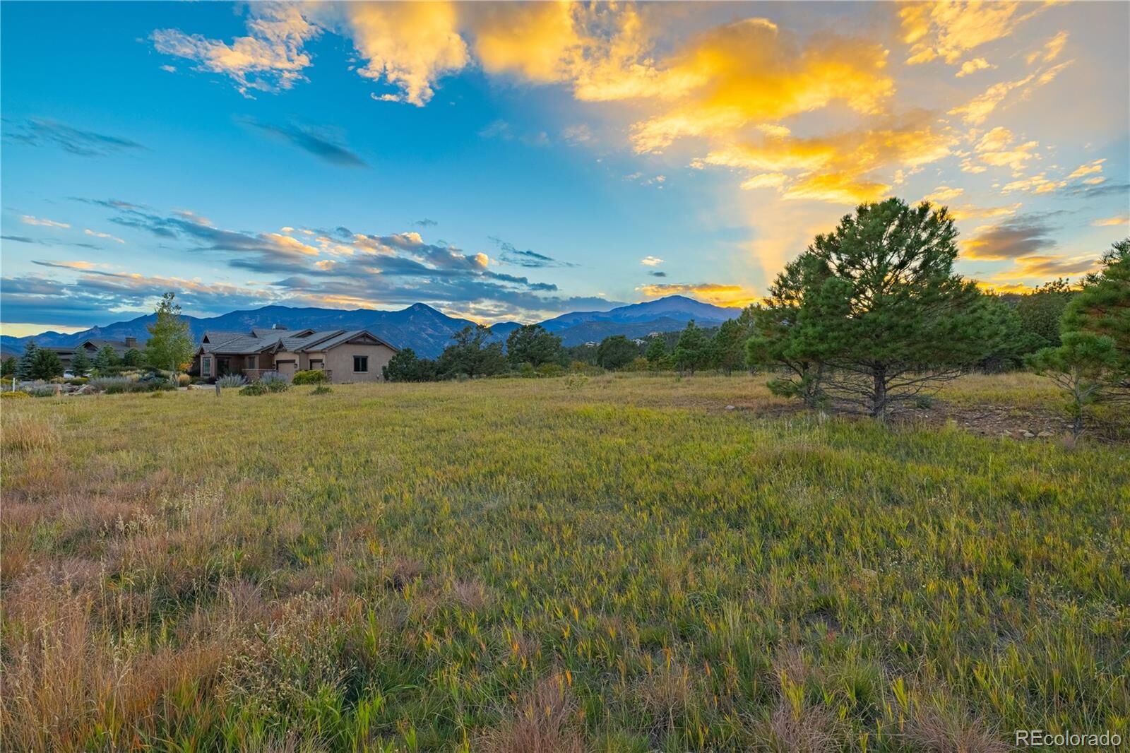 Property Photo: 3760 Twisted Oak Circle CO 80904