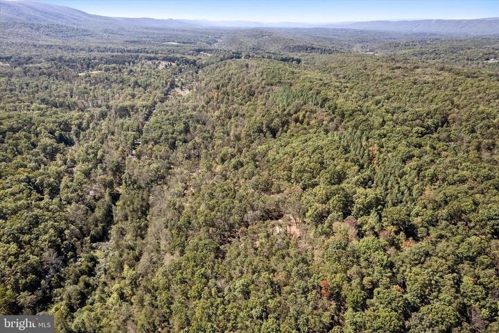 Property Photo:  Lot 2 Back Creek Rd  VA 22637 