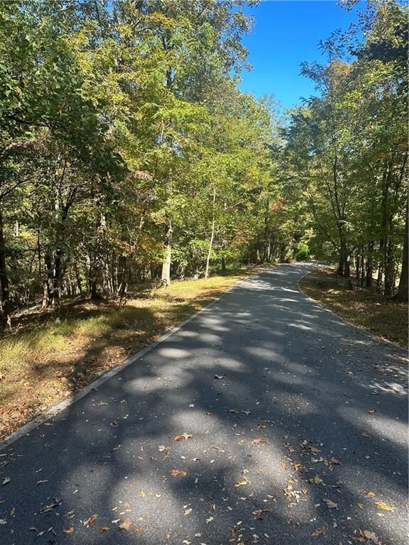 Property Photo: 0 Blackgum Drive GA 30143