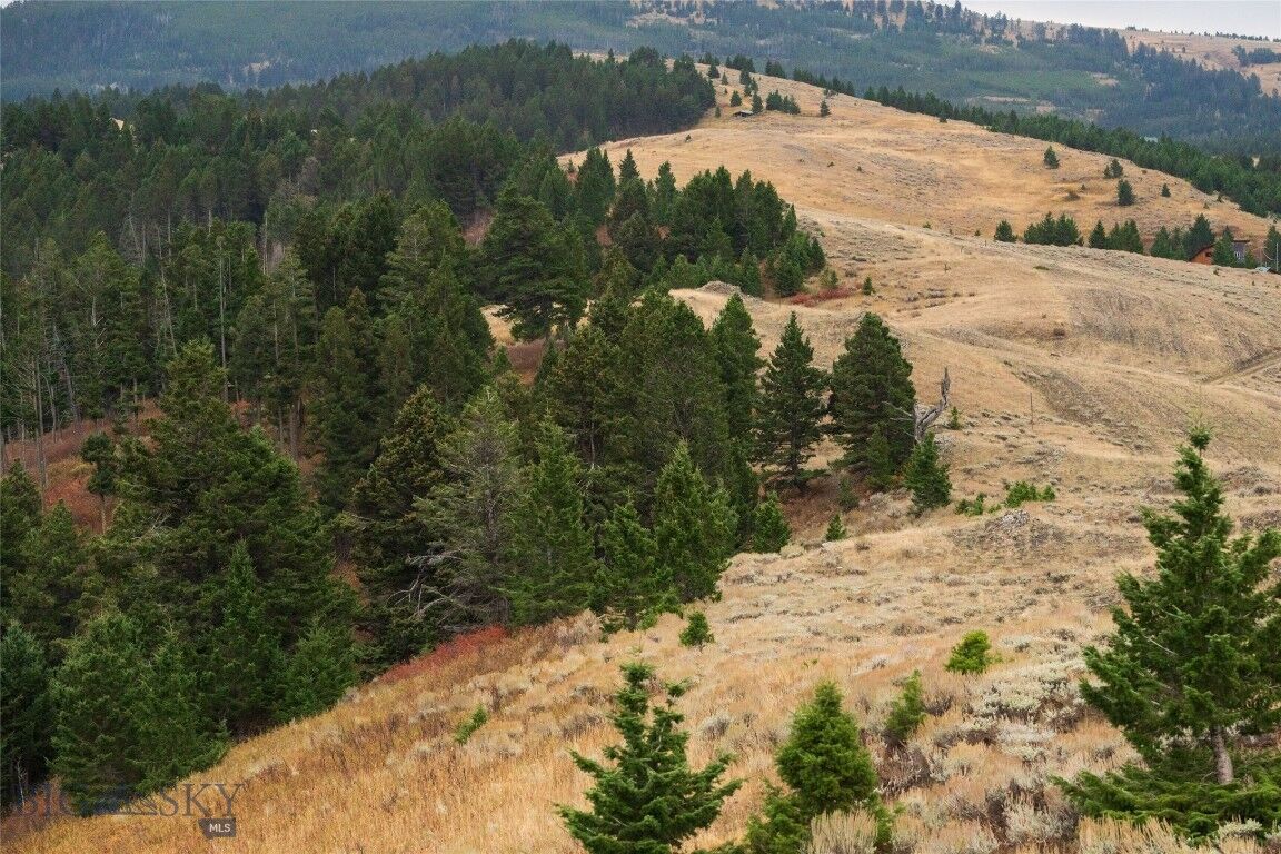 Property Photo: 20 Ac Alpine Springs Trail MT 59047
